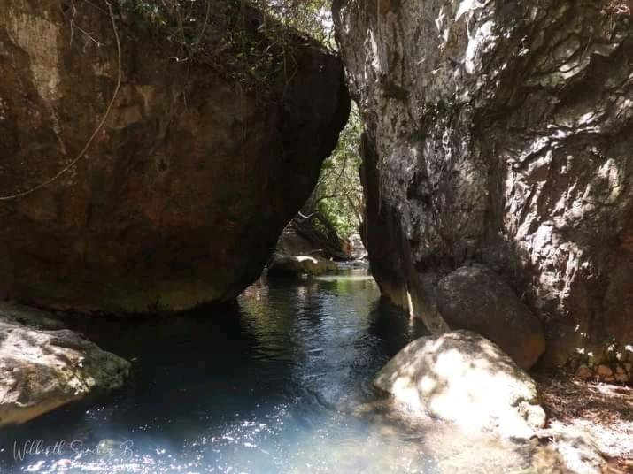 Pochote Lodge Guayabo  Exteriér fotografie
