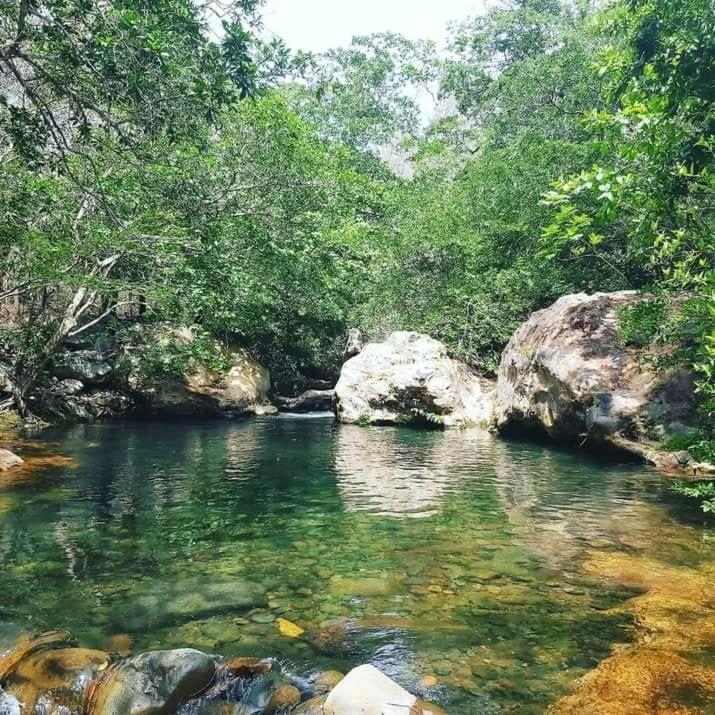 Pochote Lodge Guayabo  Exteriér fotografie