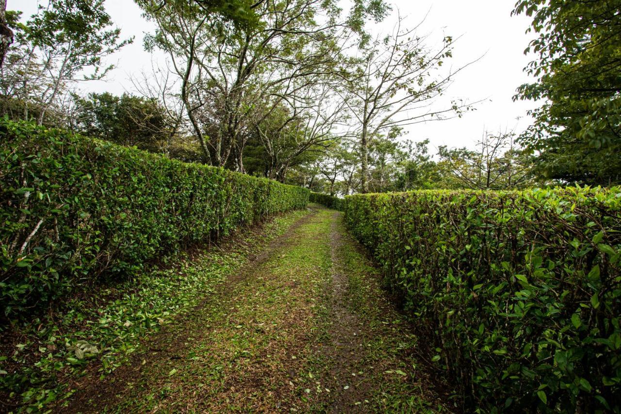 Pochote Lodge Guayabo  Exteriér fotografie